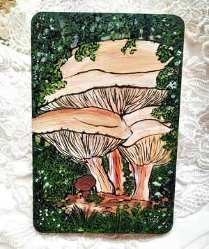 Les Champignons Chanterelles