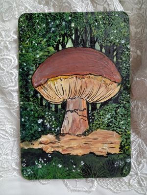 La cachette des champignons